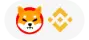 SHIBA INU on BSC