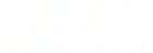 DS Virtual Gaming