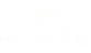 NetGaming