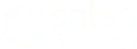 Salsa Technology