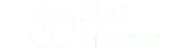 SlotMatrix