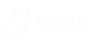 Swintt