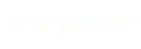 Synot Games